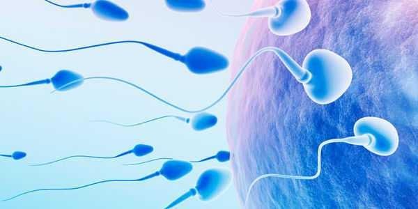 Sabemos que inúmeros homens e mulheres têm na infertilidade um impedimento natural quanto à reprodução; sem