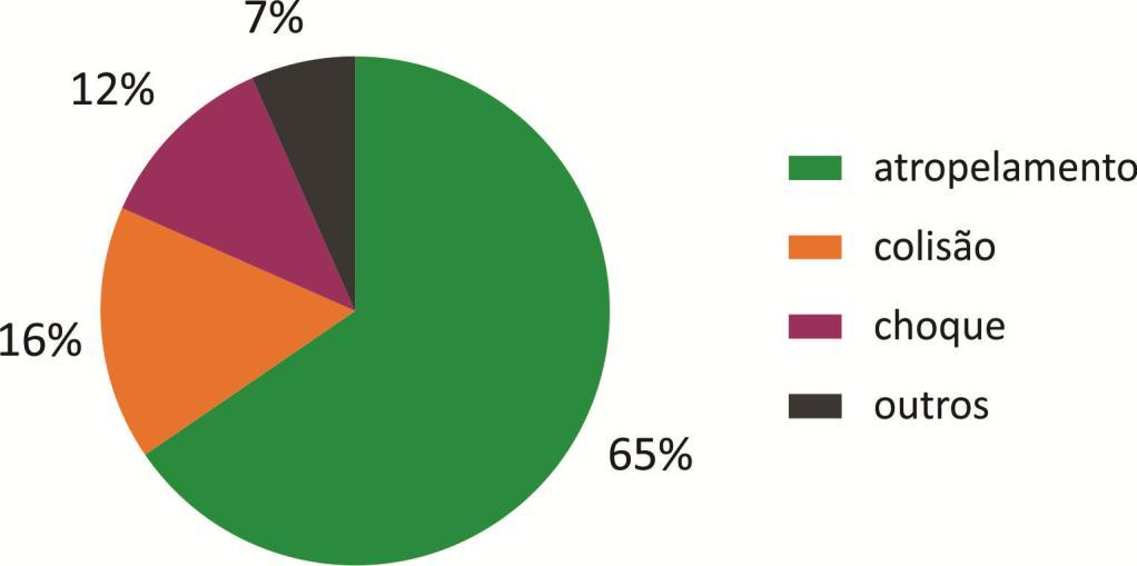 Diagnóstico da Subprefeitura da Sé 2015 a 2017 Tipos de ocorrências fatais na Subprefeitura