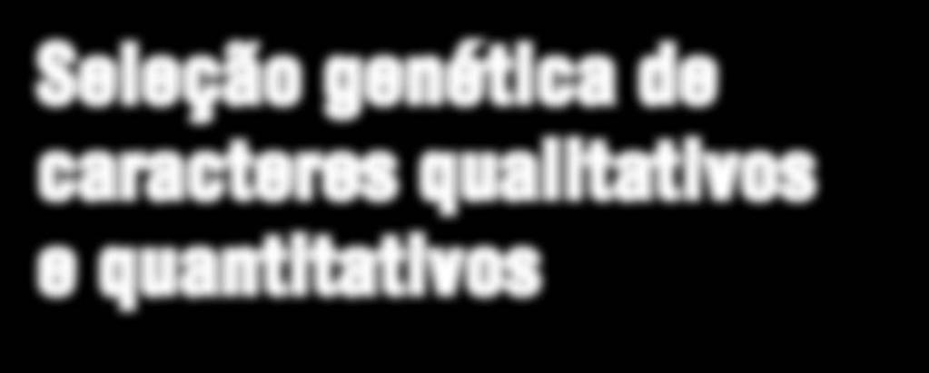 Nesta edição vamos abordar como ocorre o efeito da seleção dependendo do tipo de característica que está sob seleção. Seleção genética de caracteres qualitativos e quantitativos Por: Prof. Dr.