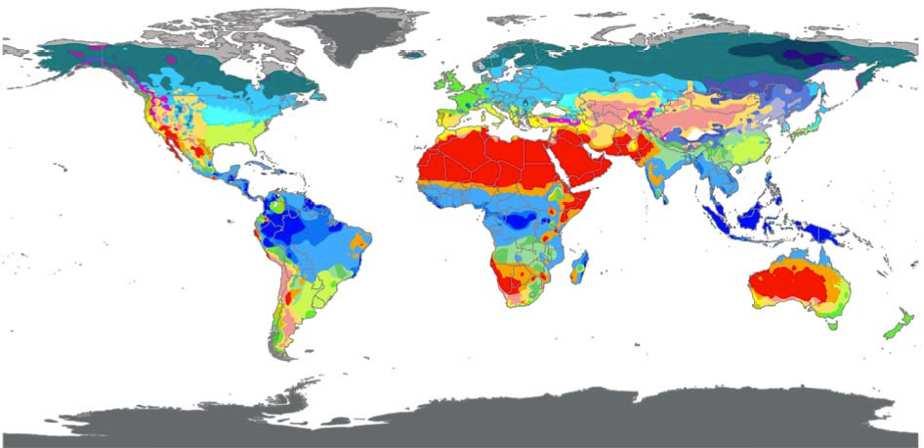 Clima e seus elementos Florestas pluviais e desertos