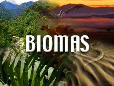 Biomas BIOMAéum tipo de fisionomia vegetal ampla que