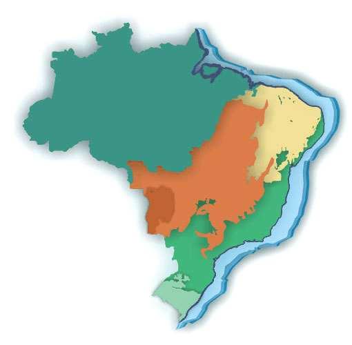 Biomas brasileiros AMAZÔNIA CERRADO CAATINGA PANTANAL