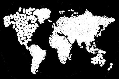 I. Objetivo Geral PLANO DE ESTADO Alimentar o mundo