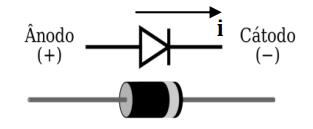 Experiência 8: Osciloscópio e Circuitos Retificadores 79 Objetivos Aprender a utilizar um gerador de sinais, bem como um osciloscópio digital para medição da amplitude de uma tensão alternada,