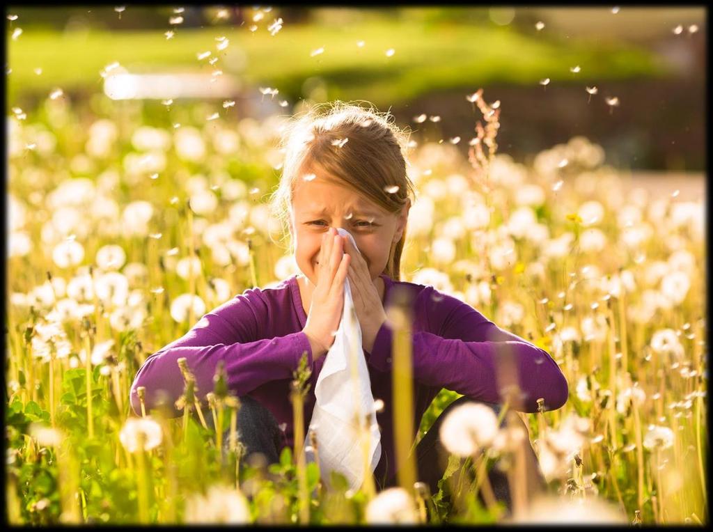 versus alergias A alergia é uma reação de hipersensibilidade imunomediada por antígenos que normalmente seriam inofensivos para o organismo 1.