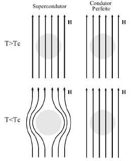 2.1 Breve Histórico da Supercondutividade 22 Figura 2-2: Na presença de um campo magnético externo, H < H c, um supercondutor expulsa o fluxo magnético quando é resfriado abaixo de T c, entanto, em