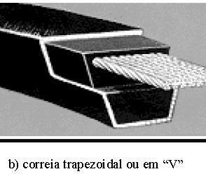 Em função destas formas podem ser distinguidos os