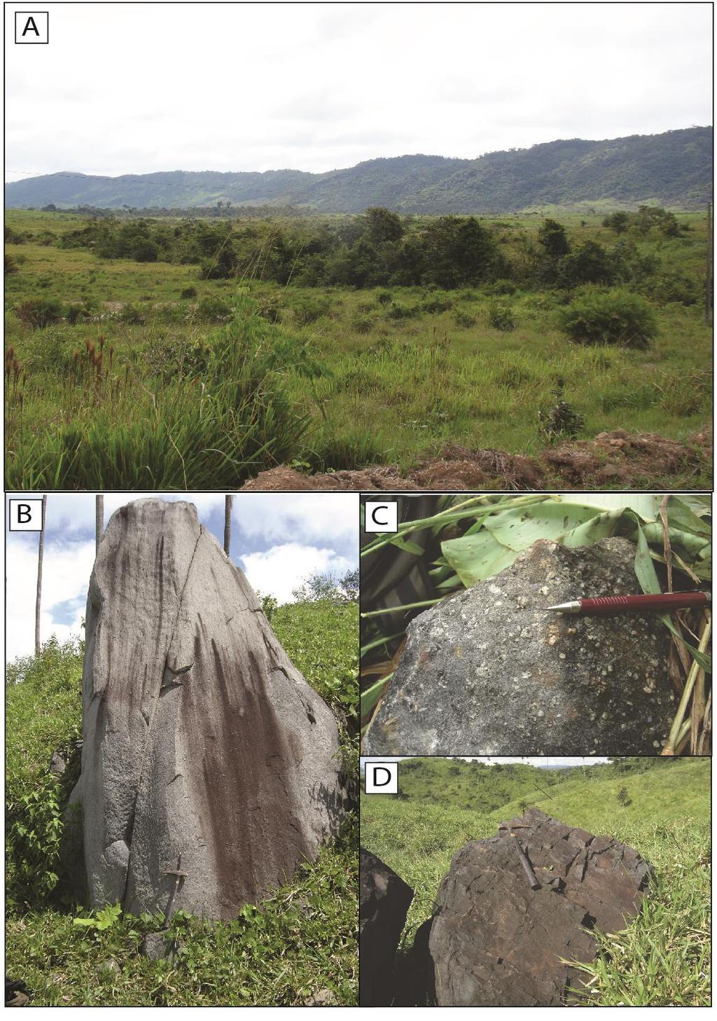 Fig. 4. Field features of the Jaguar deposit. A) Panoramic view of the southwestern portion of the Jaguar deposit.