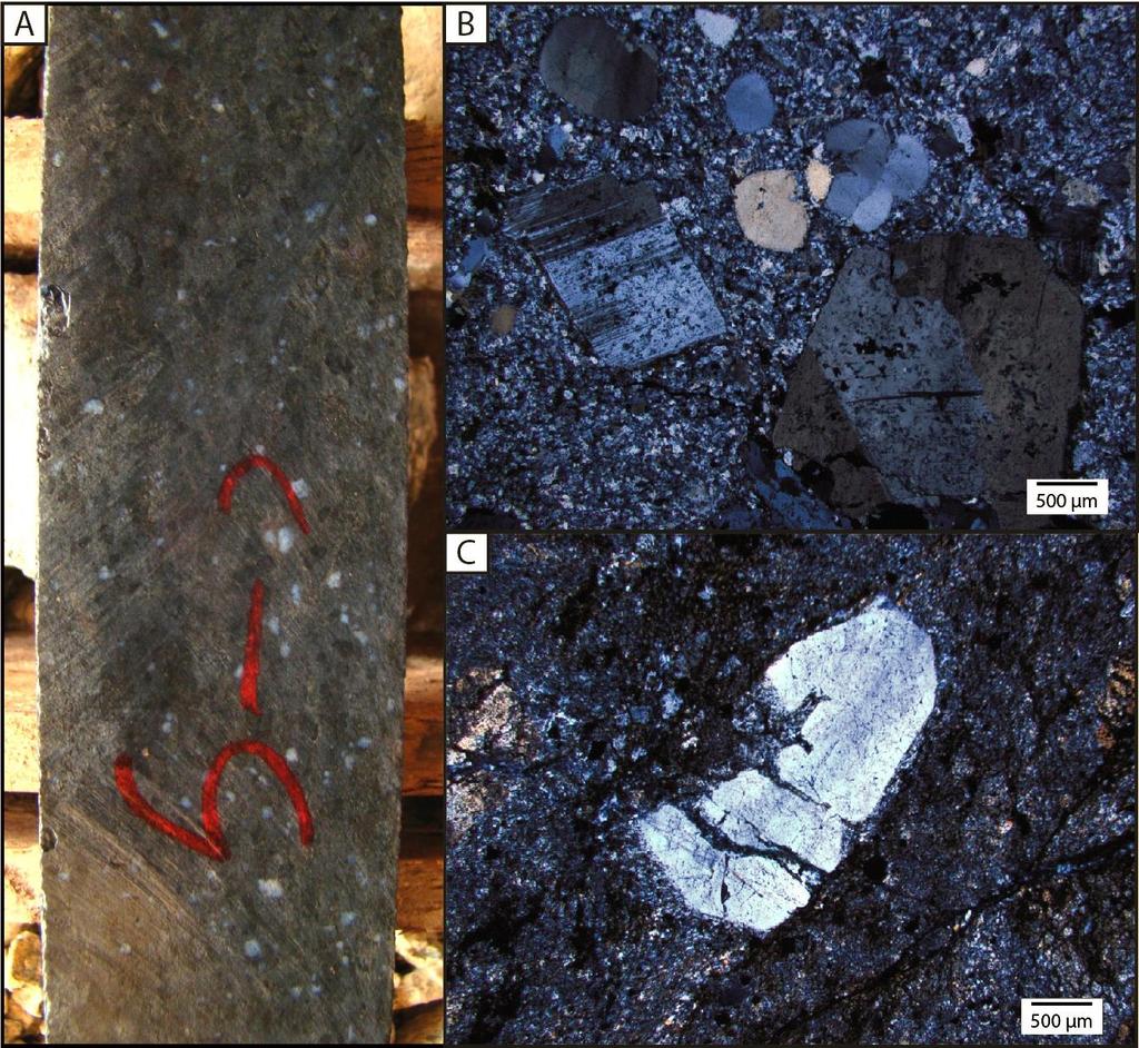 minor amphibole (actinolite) with intergranular texture. Primary igneous minerals are variably altered to fine biotite, chlorite and amphibole.