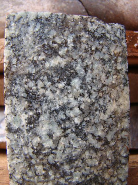 Hydrothernal alteration Host rocks of the Jaguar deposit are intensely altered, with partial to total obliteration of primary igneous textures and minerals.