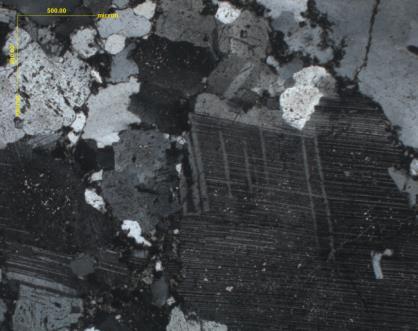 These bodies occur within poorly altered to unaltered host rocks (Fig. 3B, C). The hydrothermal alteration appears to be synchronous or pre date deformation.