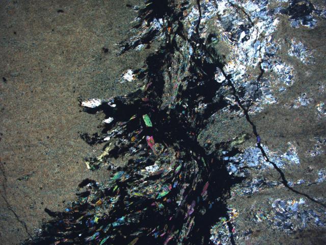 The very fine-grained amphiboles are actinolites and the coarser grains, closer to the sulfides are hornblends.