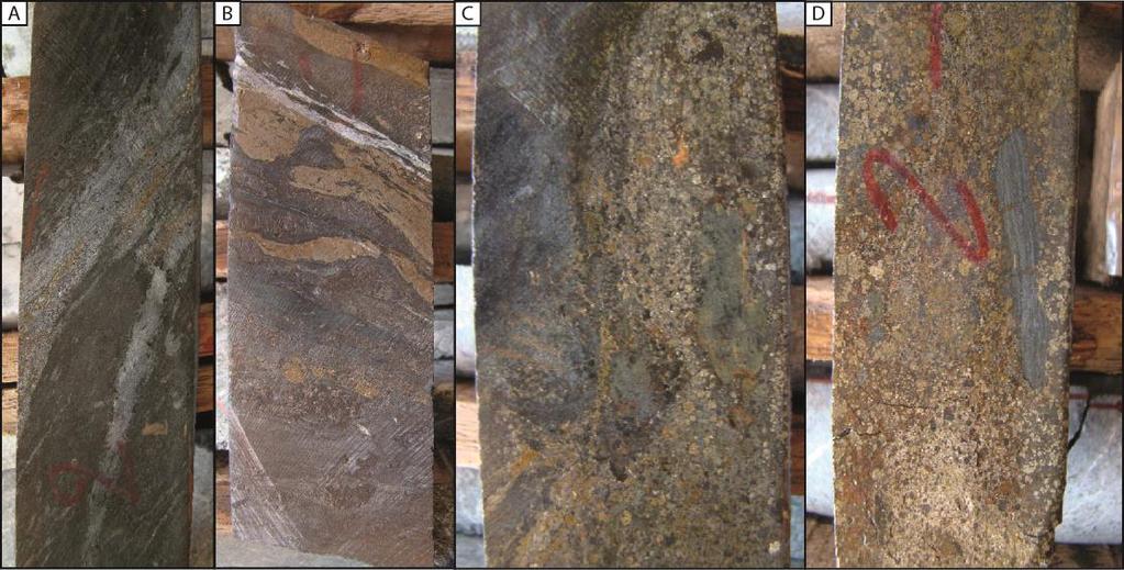 Fig. 10. Mineralization styles of the Jaguar deposit: A) Discontinuous lenses of disseminated sulfide ore (Type I) in biotite- and chlorite-rich alteration rocks.