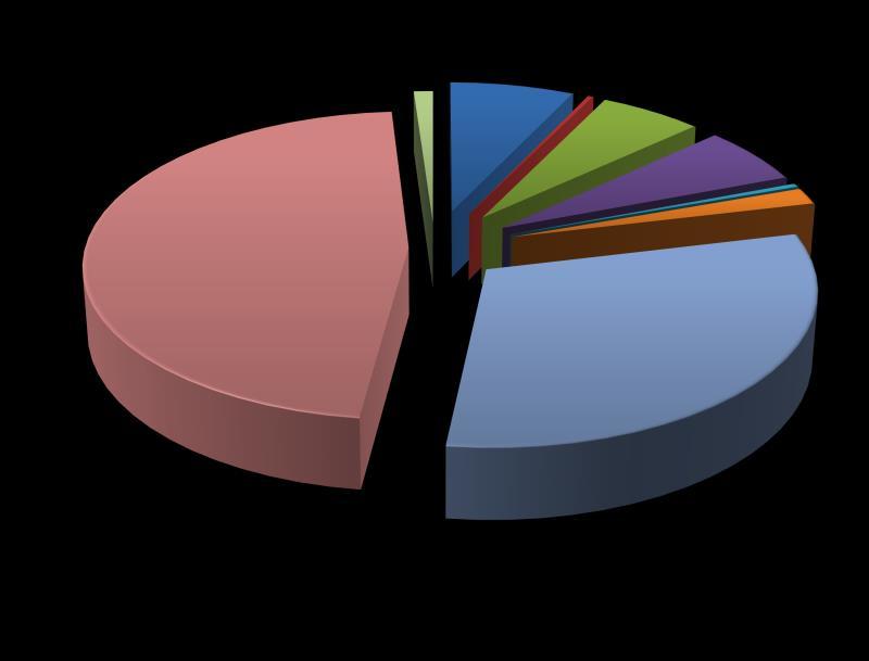 Distribuição Orçamentária Diárias 7,0% 0,3%5,8% 6,1% Aux.