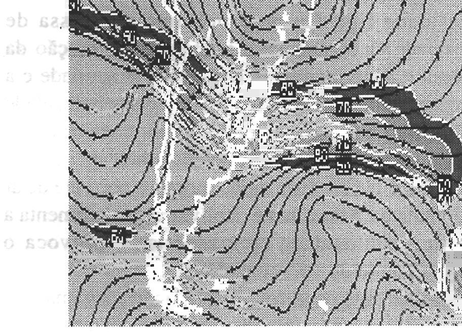 A análise das trajetórias das parcelas, usando os mapas de linhas de corrente, de altura p;eovotenciale os