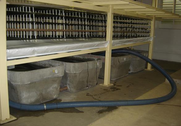 528 Entupimento de gotejadores convencionais por precipitados químicos de carbonato de... cimento com capacidade de L, das quais a água era bombeada para o sistema de gotejadores.