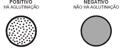 Página 2 de 3 MATERIAIS NECESSÁRIOS NÃO FORNECIDOS Procedimento Manual Tubos de ensaio para titulações Estantes para tubos de ensaio Salina 0,85% Pipetas sorológicas Ponteiras Relógio AMOSTRA O teste