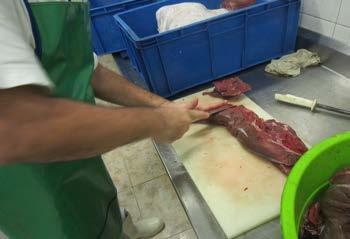 Mantem contração estática de ombros para corte de carne. Bancada com altura de 90 cm.