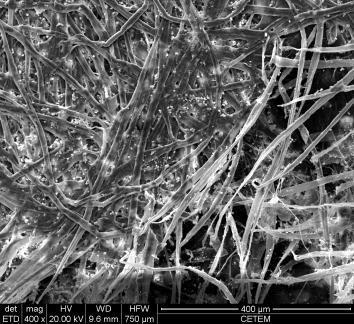 RESULTADOS E DISCUSSÃO Análise Química dos Resíduos A Tabela 1 ilustra os resultados de Fluorescência de R-X dos resíduos, onde observa-se a alta porcentagem de cálcio que foi de 70,8 e 96,5 % para