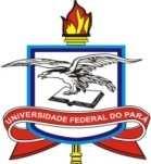 SERVIÇO PÚBLICO FEDERAL UNIVERSIDADE FEDERAL DO PARÁ PRÓ-REITORIA DE ENSINO DE GRADUAÇÃO COMISSÃO PERMANENTE DE PROCESSOS SELETIVOS EDITAL N.