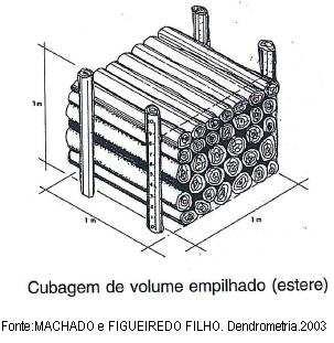 Figura 2- O estéreo c.