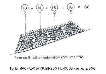 para ambas as margens do rio Tibagi de acordo com a metodologia dos pontos amostrais conhecida como PNA e baseada na metodologia de relascopia de