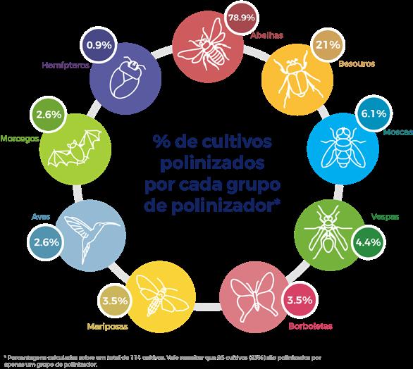 6 relatório temático sobre polinização, polinizadores e produção de alimentos no brasil 1.