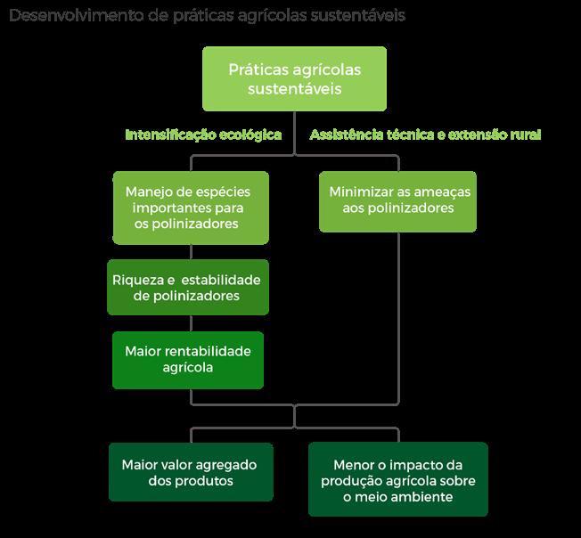 Plantas exóticas são, por vezes, prejudiciais aos polinizadores; quando invasoras têm o potencial de restringir ou até extinguir localmente recursos importantes para os polinizadores.