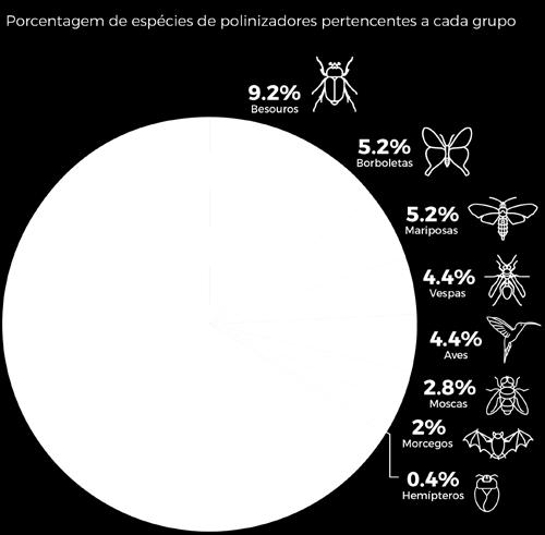 12 relatório temático sobre polinização, polinizadores e produção de alimentos no brasil Este conjunto de polinizadores está distribuído nos seguintes grupos: abelhas (66,3%, 165 espécies), besouros