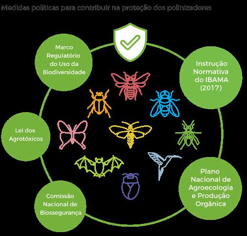 14 relatório temático sobre polinização, polinizadores e produção de alimentos no brasil diversos requisitos ambientais para sua manutenção, abrangendo tanto recursos alimentares quanto não