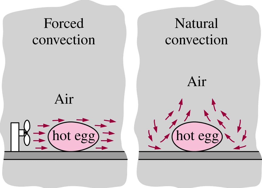 Convecção foçada Convecção natual A ovo uente A ovo uente (a) (b) Figua 3 Aefecimento de um ovo cozido po (a) convecção foçada; (b) convecção natual A análise detalhada do fenómeno de tansfeência de