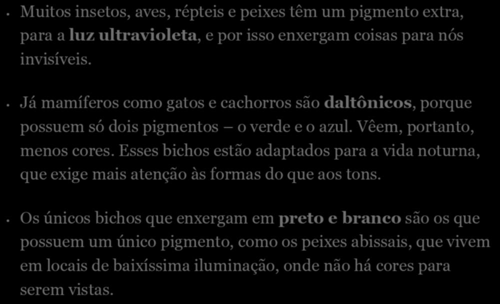 Curiosidade: Os animais enxergam em preto e branco? Muitos insetos, aves, répteis e peixes têm um pigmento extra, para a luz ultravioleta, e por isso enxergam coisas para nós invisíveis.