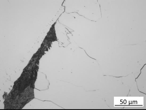 Imagem de microscopia