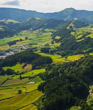 EXPERIENTE GUIA PRIVATIVO SÃO MIGUEL NATUREZA VIVA TOTAL PONTA DELGADA OBSERVAÇÃO DE CETÁCEOS LAGOA DAS FURNAS LAGOA DAS SETE CIDADES LAGOA DO FOGO NORDESTE circuito exclusivo NORTRAVEL 1º DIA LISBOA