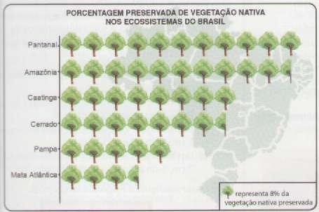 O levantamento, concluído no fim de 2006, mostra que o Pantanal é o ecossistema com vegetação nativa mais preservada.