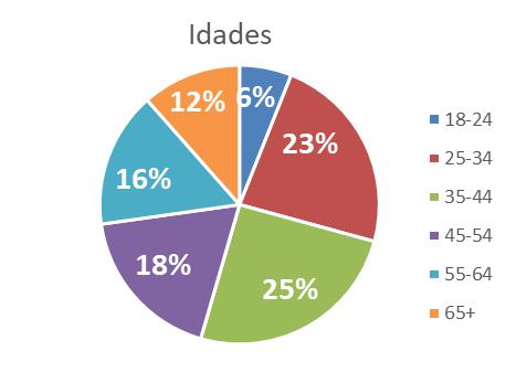 Dados de perfil das visitas para cada área do site RTP Fonte: Google Analytics Site RTP