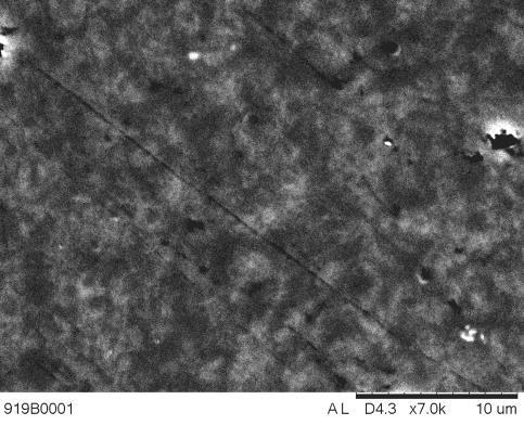 As diferentes fases das amostras sinterizadas podem ser observadas a partir das microscopias eletrônicas de varredura por elétrons retroespalhados mostradas na