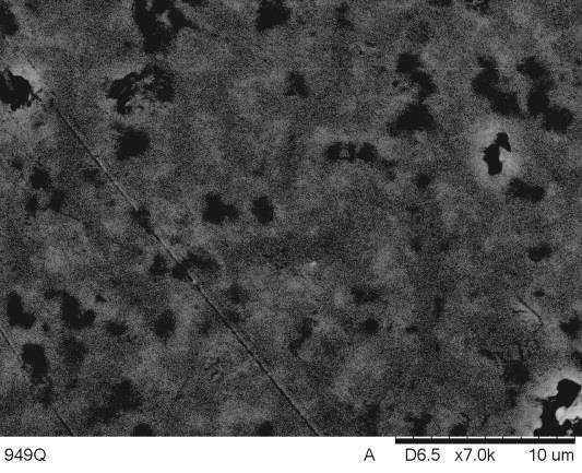 (a) (b) (d) (c) Figura 2: Micrografias eletrônicas de varredura por elétrons retroespalhados (a) SNM1, (b) SNM2 (c) SNM3 e (d) SNM3 As características