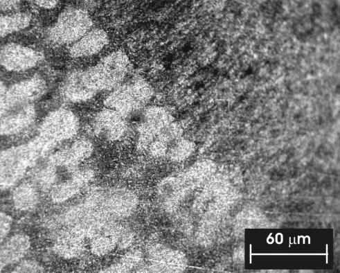 Laser: 6 m/min Profundidade: 310,4 µm Largura: 709,9 µm Vel.