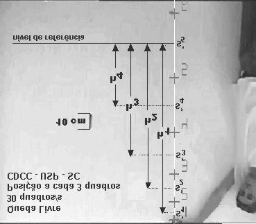 Em seguida abra o programa SAM e a imagem com extensão avi salva no SAM, para fazer as medidas quantitativas do espaço (S) e tempo (t) utilizando o SAM.