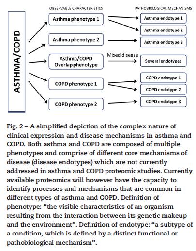 Figura 8: Representação simplificada da natureza complexa da expressão clínica e mecanismos da doença na asma e DPOC.