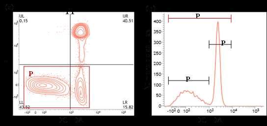 Figura 4: (a) Gráfico de contorno (contour plot) gerado pela análise por citometria de fluxo, em amostra corada com IP e DCFDA, permitindo a classificação de espermatozoides em quatro categorias: LL,