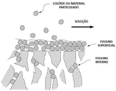 aumenta, diminuindo a rejeição dessas partículas pela membrana e, consequentemente, a sua eficiência.