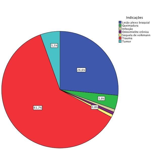 43 Resultados Gráfico 1 - Indicações dos retalhos microcirúrgicos do IOT- HCFMUSP 4.