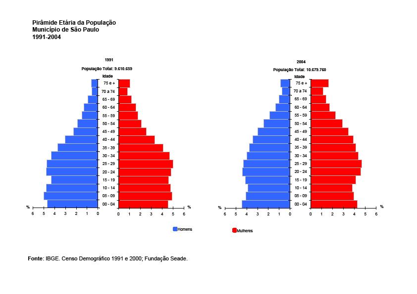 Os gráficos abaixo confirmam o envelhecimento da população do município de São Paulo, entre 1991 e 2004, com acréscimo significativo na faixa etária acima dos 60 anos (destaque para a população