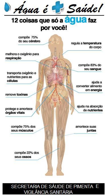 br 01/Dia 01 diaria diaria diaria 16/mes 16/mes 16/mes 22/mes 01 diaria 06/dia 22/mes 16/mes 16/mes 16/mês Analisadas