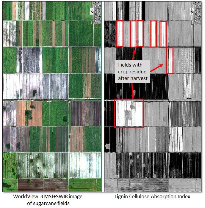 Novos Indices Espectrais Lignin Cellulose Absorption Index (LCAI) Este indice é a soma da profundidade relativa da celulose e as