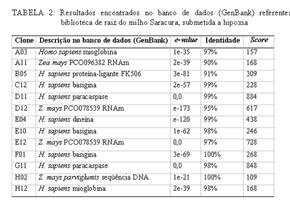 ARAÚJO, J.S. Ganhos genéticos obtidos em híbridos e variedades de milho representativos de três décadas de melhoramento no Brasil. 1995, 64p.