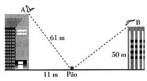 ATIVIDADE 2 HABILIDADE RELACIONADA: H11 [C1] Resolver problemas contextualizados, usando o Teorema de Pitágoras.