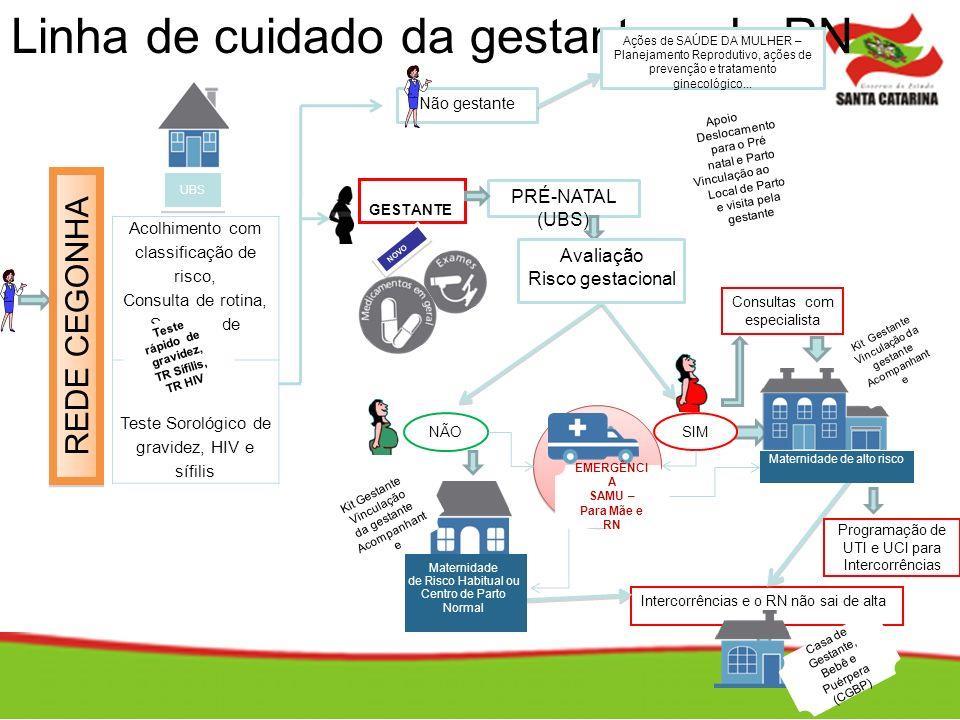 DIRETRIZES DA ASSISTÊNCIA HUMINIZADA (LEI 11.